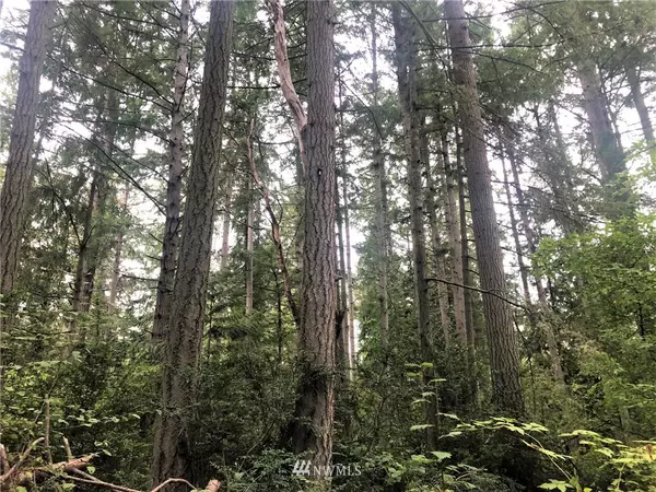 0 xx 7th LN, Fox Island, WA 98349