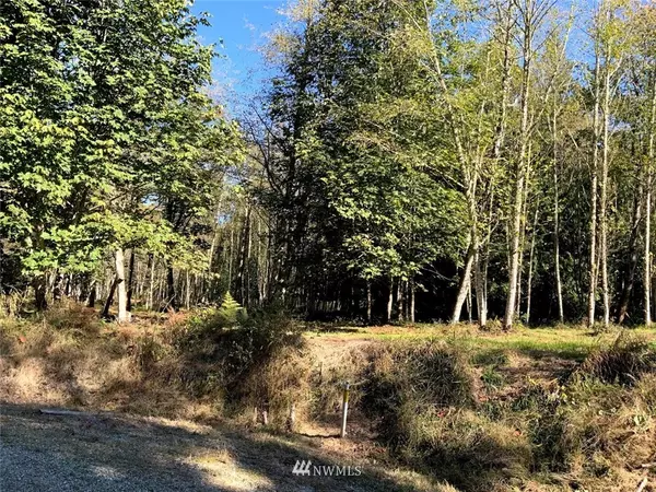 Sedro Woolley, WA 98284,7665 Blossomberry Lane (Lot 4)