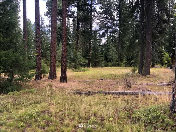 Cle Elum, WA 98922,210 Larkspur Loop