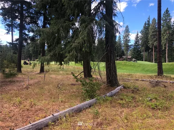 Cle Elum, WA 98922,210 Larkspur Loop