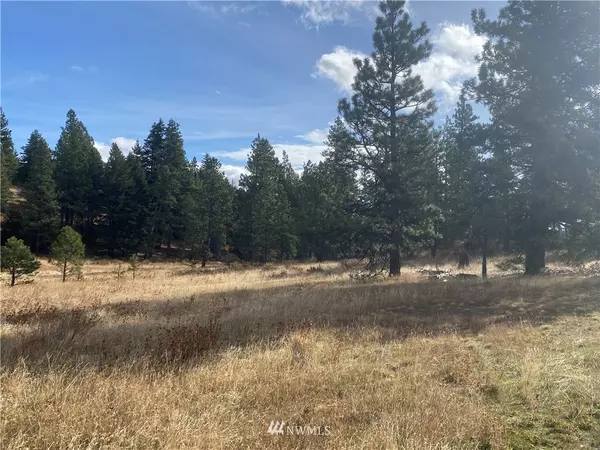 Cle Elum, WA 98922,0 Lots 2&3 Thorp Prairie RD