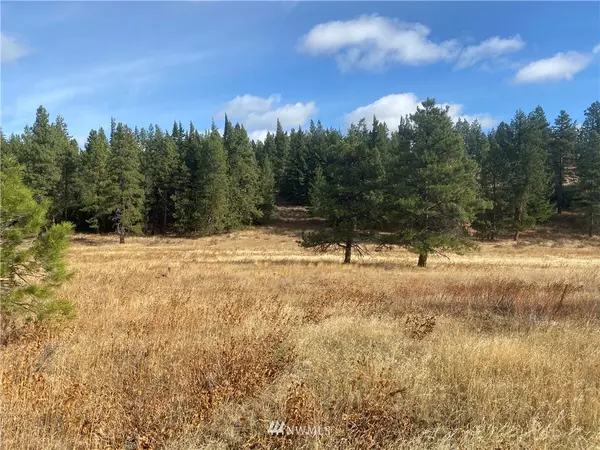 Cle Elum, WA 98922,0 Lots 2&3 Thorp Prairie RD