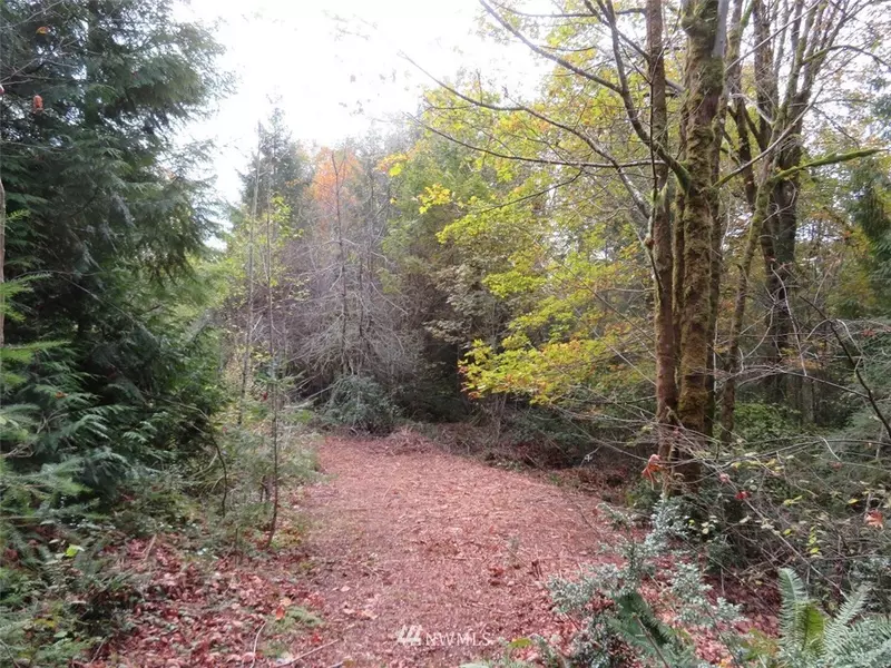 0 XXX 69th ST NW, Vaughn, WA 98394