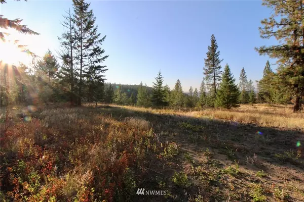 0 Rail Canyon Lot #3 RD, Ford, WA 99013