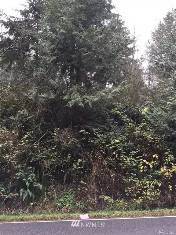 0 XX Thorndyke RD, Quilcene, WA 98376