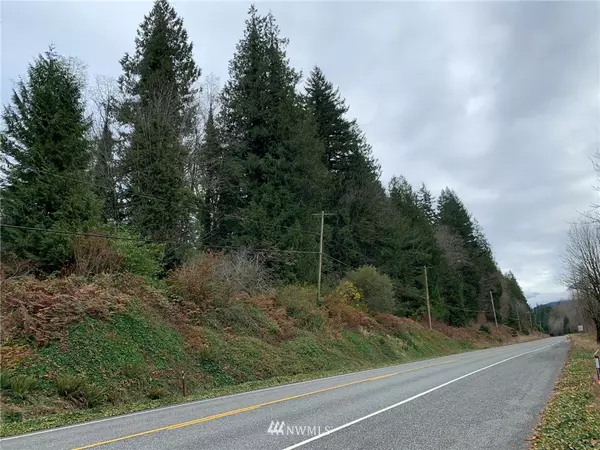 Skykomish, WA 98224,68 XXX NE Stevens Pass HWY