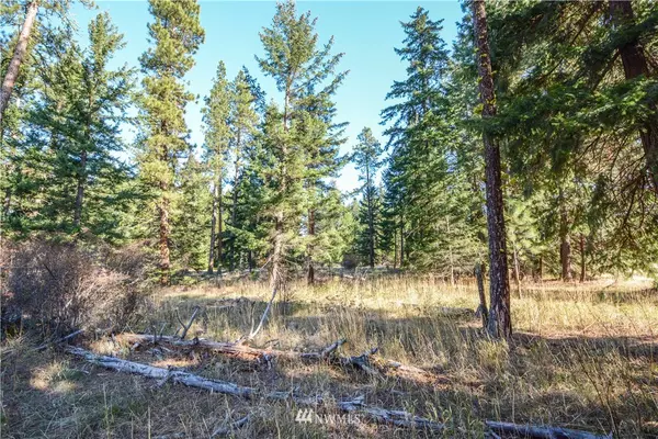 Cle Elum, WA 98922,30 Snowberry LOOP