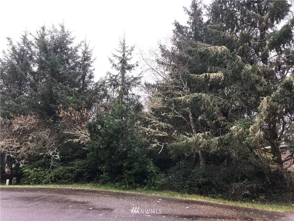 831 Fir CT SW, Ocean Shores, WA 98569