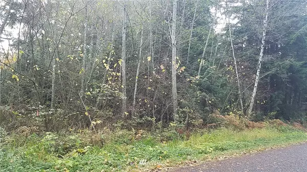 215 Windsor DR, Point Roberts, WA 98281