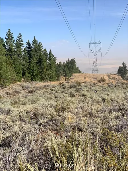 1 NNA Melvin RD, East Wenatchee, WA 98802