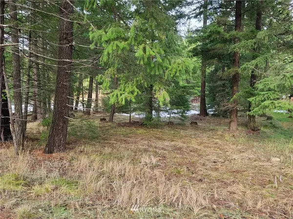 Cle Elum, WA 98922,1040 Snowberry LOOP