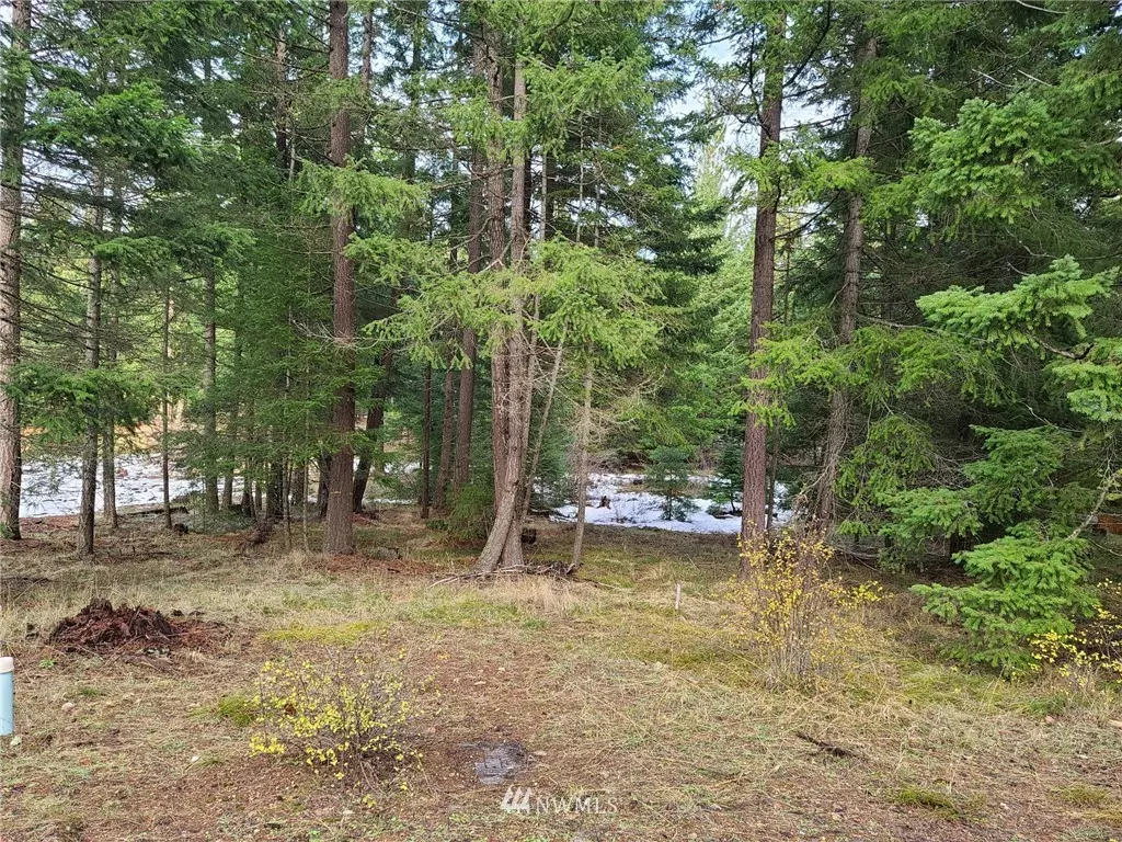 Cle Elum, WA 98922,1040 Snowberry LOOP