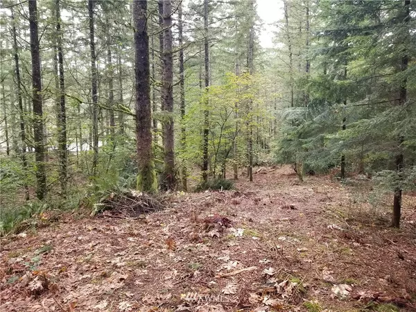 Enumclaw, WA 98022,361 XX 293rd Lot JJ PL SE