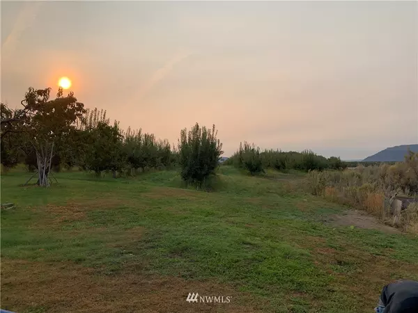 0 Blossom LN, Brewster, WA 98812