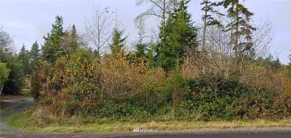 Ocean Park, WA 98640,2707 Crane PL