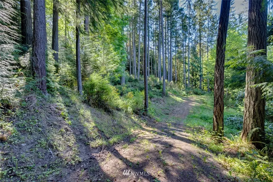 10095 Arrow Point DR NE, Bainbridge Island, WA 98110