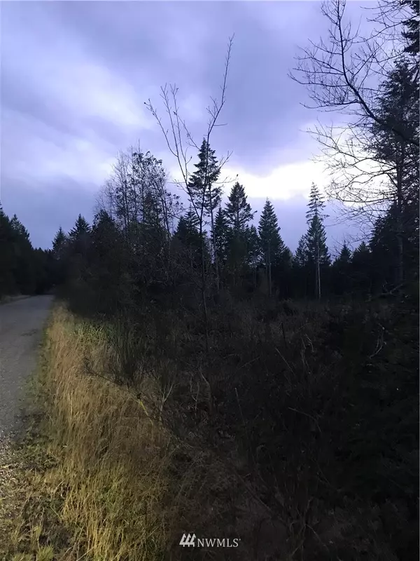 0 xxxx 176th AVE NW, Gig Harbor, WA 98329