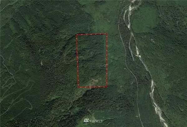 7 xx Miller River RD, Skykomish, WA 98288