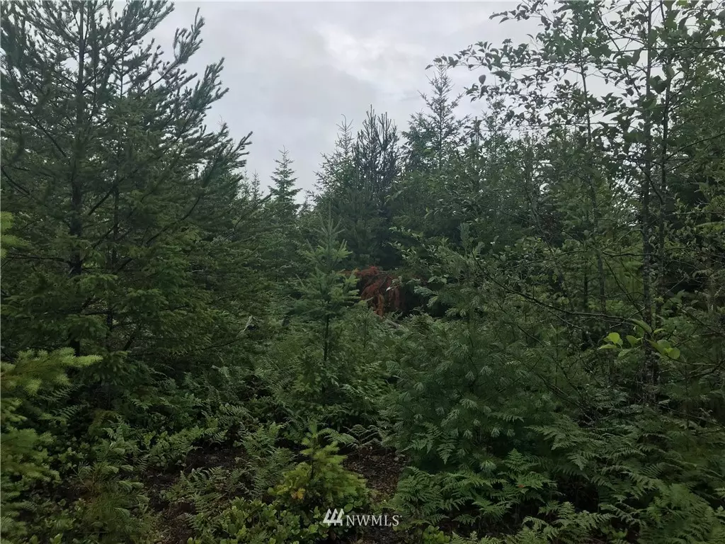 Tahuya, WA 98588,0 Sanctuary LN