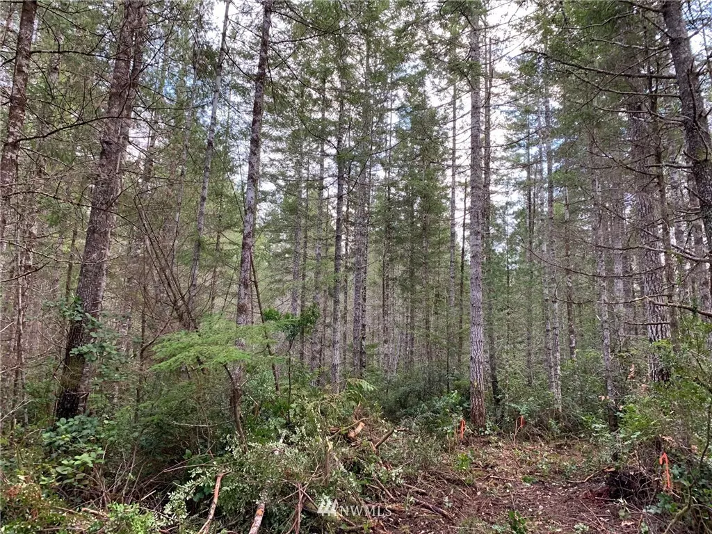 Union, WA 98592,0 TR 19 E Timber Tides DR