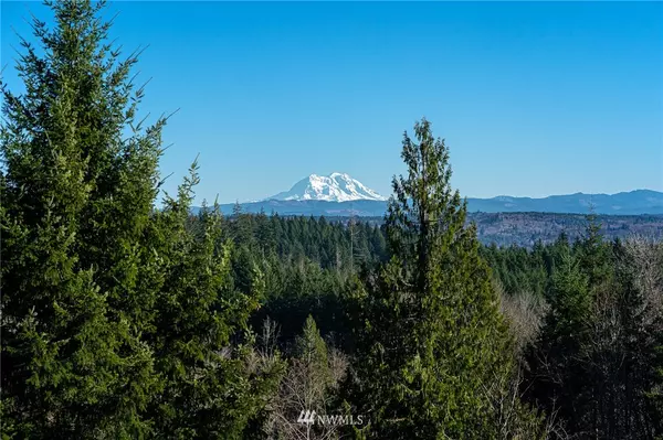 Chehalis, WA 98532,159 Peregrine Creek RD