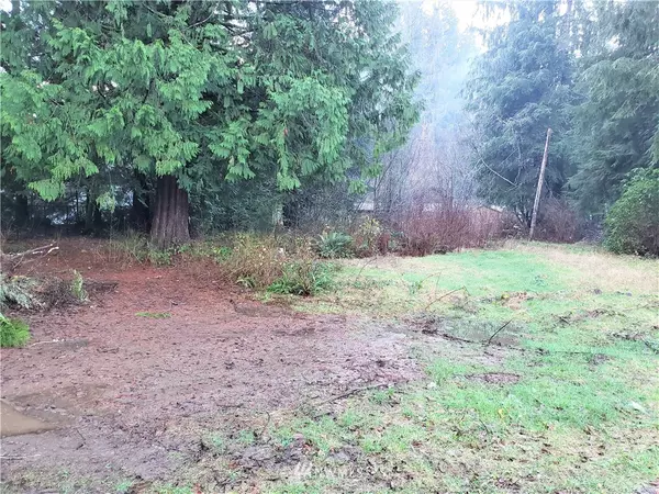 Forks, WA 98331,242 Trout AVE