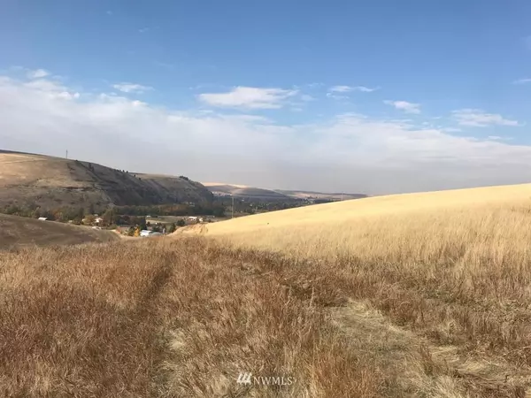 Dayton, WA 99328,0 XXX Shorty RD
