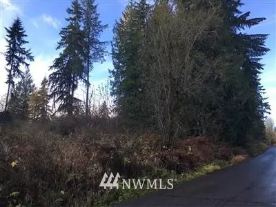 197 XX Mountain View RD NE, Duvall, WA 98019