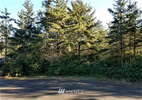 648 Sea Wolf CT NE, Ocean Shores, WA 98569