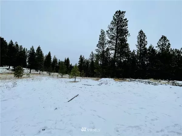 Cle Elum, WA 98922,11 Lot HWY 970