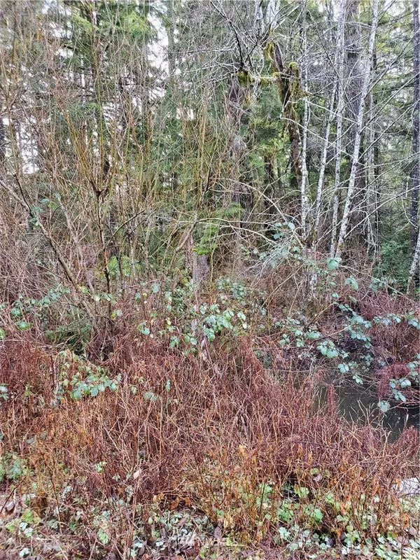 Tahuya, WA 98588,0 NE Lot 290 Tahuya Blacksmith RD