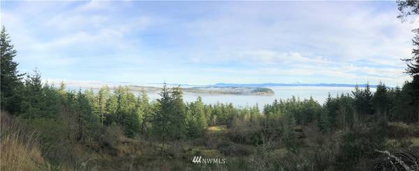 3060 & 3068 Mt Vista DR, Lummi Island, WA 98262