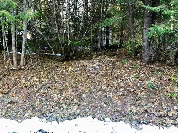 14107 Idlewild, Leavenworth, WA 98826
