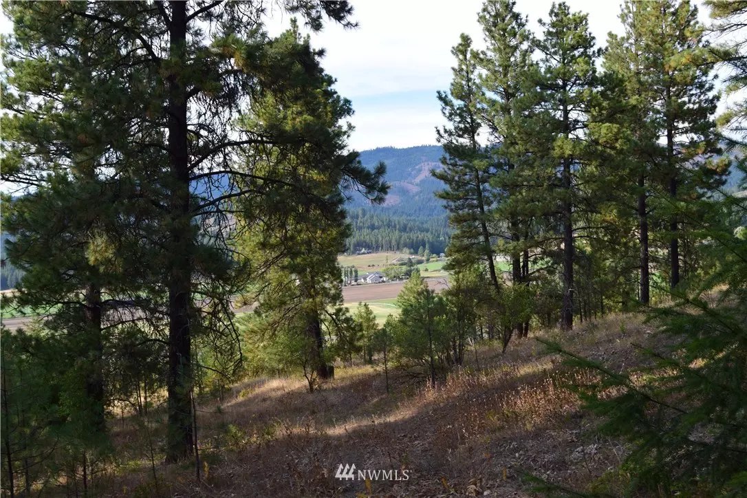 Cle Elum, WA 98922,9 Forest Grove (Lot 9) WAY