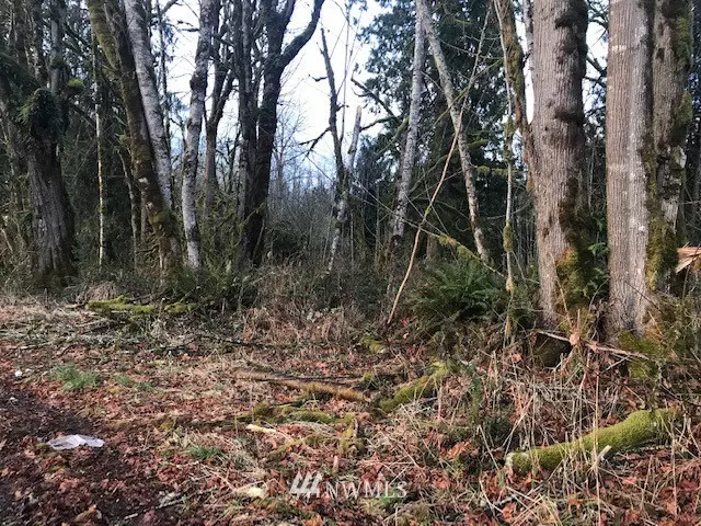 416 Young RD, Mossyrock, WA 98564