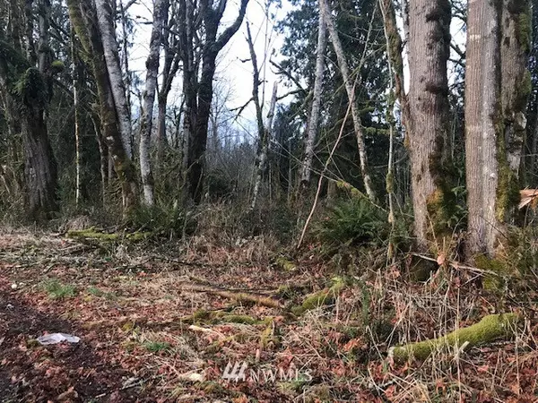 Mossyrock, WA 98564,416 Young RD