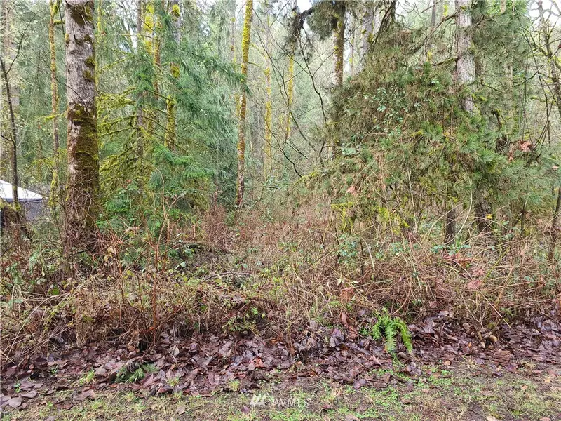 26434 (Lot 10) 163rd AVE E, Orting, WA 98360