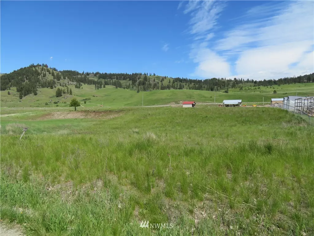 Republic, WA 99166,0 Lot 21 Sandpiper WAY