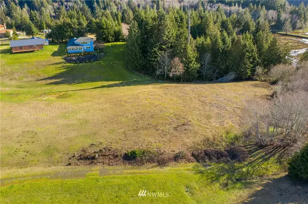 South Bend, WA 98596,0 Lot 38 Alder Court LN