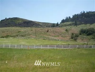 Wilbur, WA 99185,44205 Tyax LN N