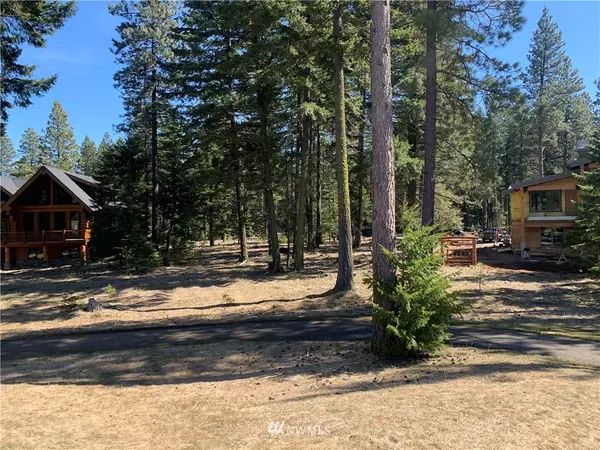 Cle Elum, WA 98922,850 Larkspur LOOP