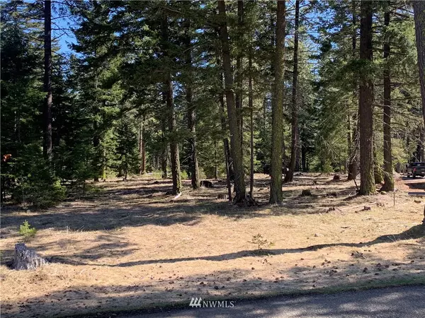 Cle Elum, WA 98922,850 Larkspur LOOP