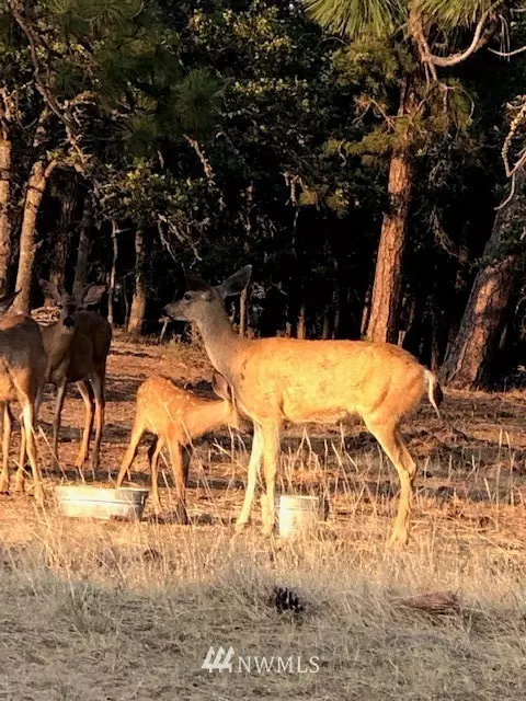 Goldendale, WA 98620,50 Wildhorse Ranch RD