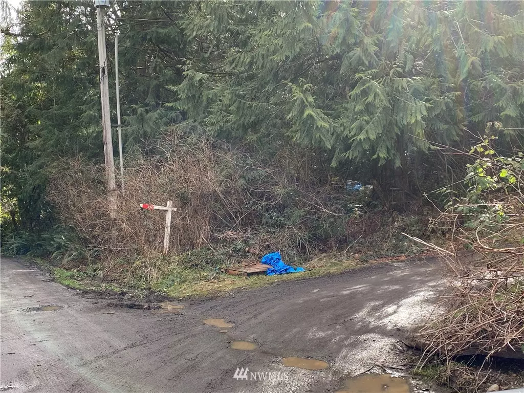 Quilcene, WA 98376,694 Taison LN