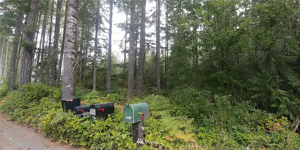 0 Peter Hagen, Seabeck, WA 98380