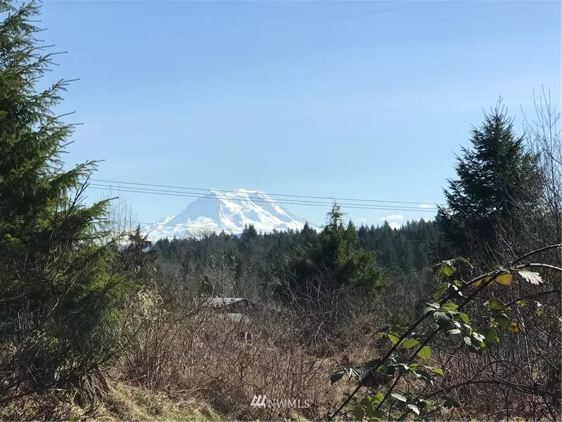 37606 Mountain HWY E, Eatonville, WA 98328