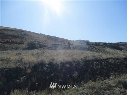 0 NNA Mountain Spring RD, Orondo, WA 98843