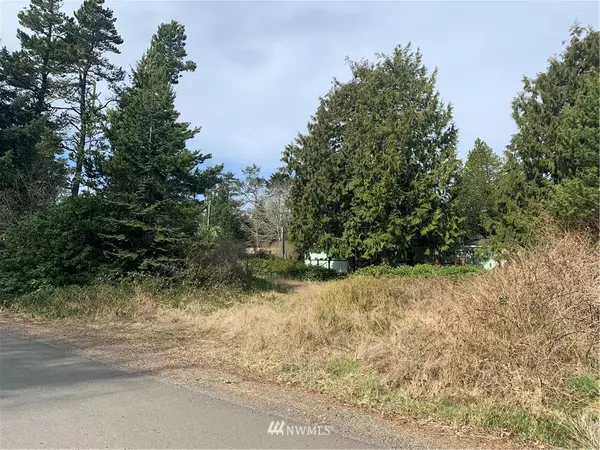 31102 M ST, Ocean Park, WA 98640