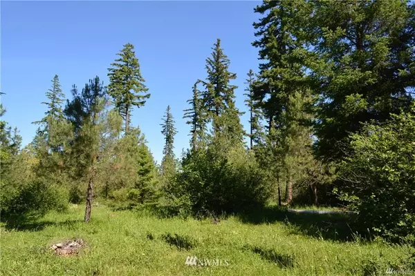 Cle Elum, WA 98922,141 Rainbow CT