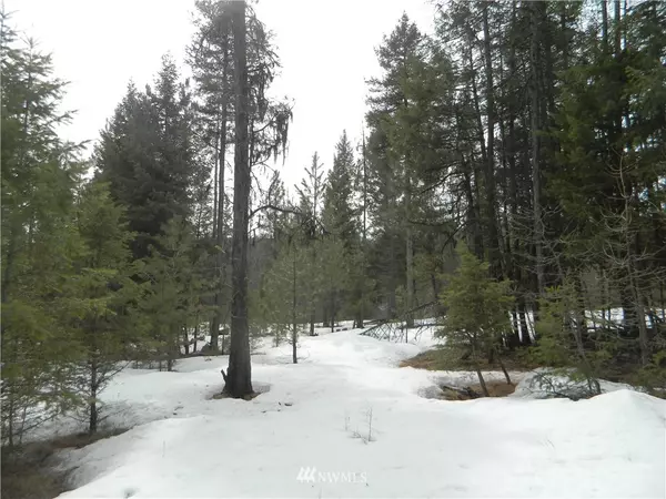 Tonasket, WA 98855,0 TBD Whispering Pines Rd